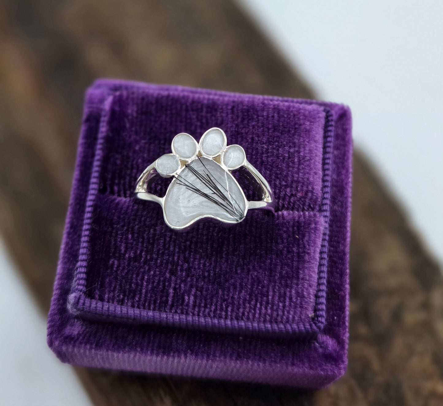 The Sasha Ring