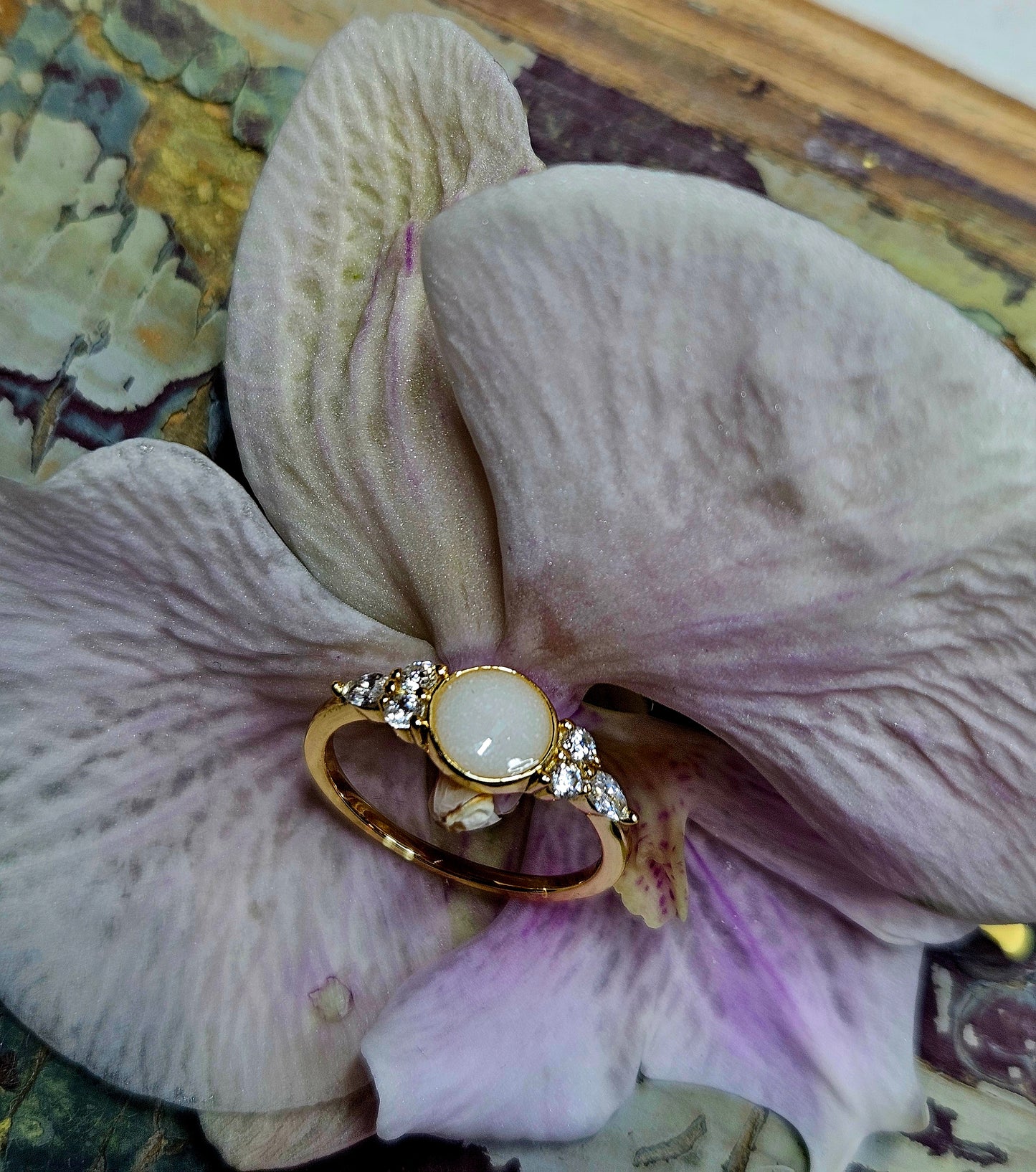 The Celestial Circle